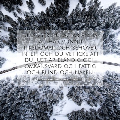 Uppenbarelseboken 3:17 SV1917 Bild av bibelvers