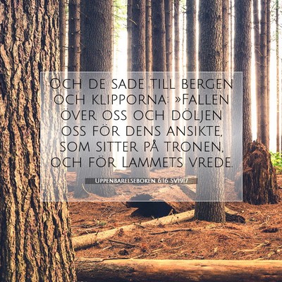 Uppenbarelseboken 6:16 SV1917 Bild av bibelvers