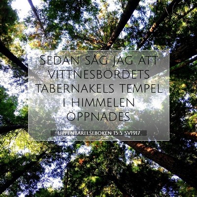 Uppenbarelseboken 15:5 Bibelvers Förklarad